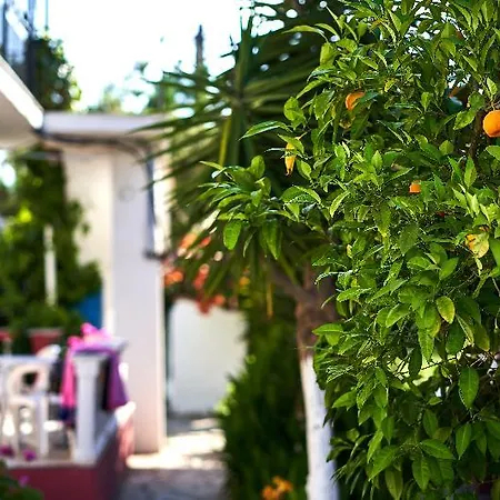 Fardini Seaside 게스트하우스 3*