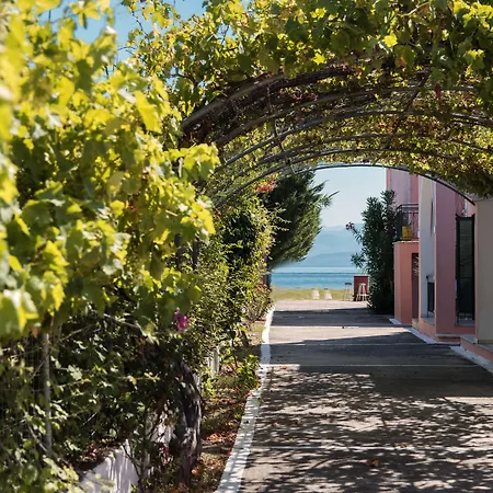 Fardini Seaside